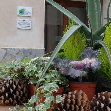Albergue Turístico Tierras Altas Fuentes de Magana Exterior foto